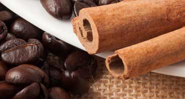 Nibh euismod tincidunt