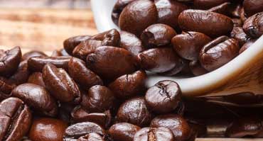 Nibh euismod tincidunt